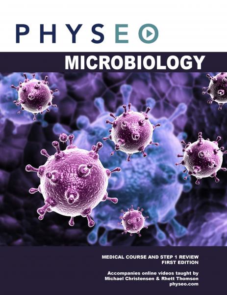 physo  Microbiology  2020 - آزمون های امریکا Step 1